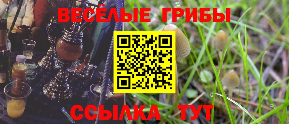 Alpha PVP Беслан