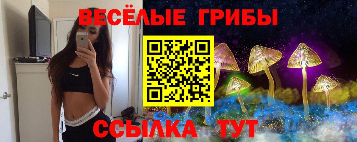 Галлюциногенные грибы ЛСД Беслан