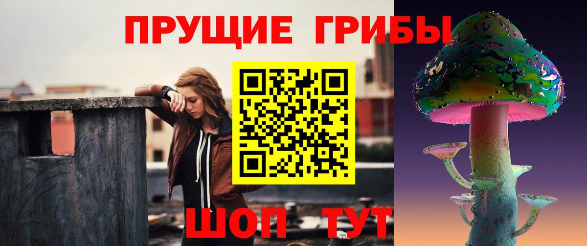Галлюциногенные грибы Psilocybine cubensis  Галлюциногенные грибы Psilocybine cubensis  Беслан  Вход с VPN 
